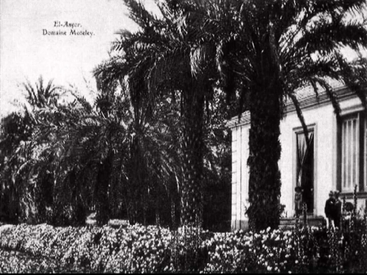 CO jc- 014- El ancor- Andalouses .JPG